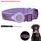 SafeTrack Reflective Airtag Dog Collar Waterproof Pet Tracking Collar 2