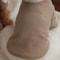 LoveBear Warm Dog Hoodie For Small Dogs And Cats 9