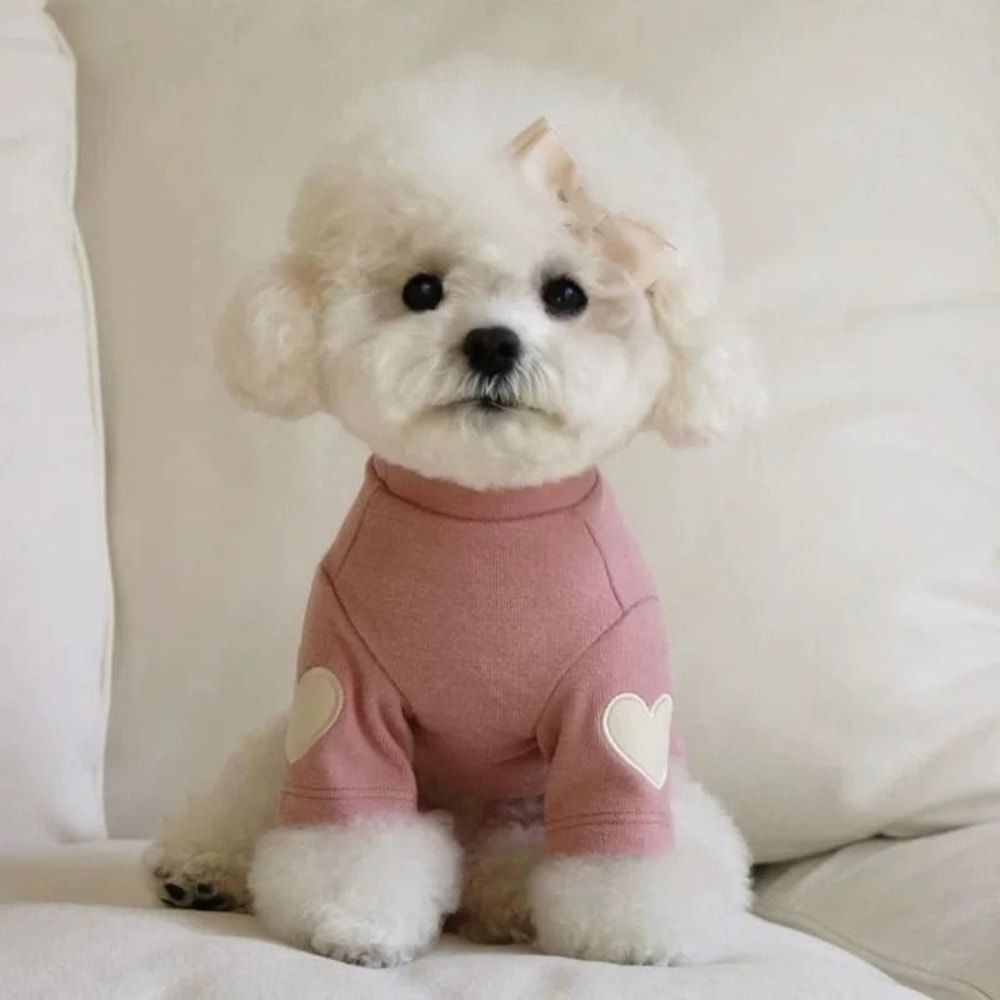 LoveBear Warm Dog Hoodie For Small Dogs And Cats 4