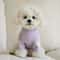 LoveBear Warm Dog Hoodie For Small Dogs And Cats 5