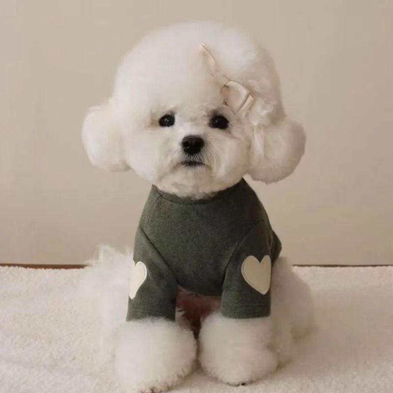 LoveBear Warm Dog Hoodie For Small Dogs And Cats 2