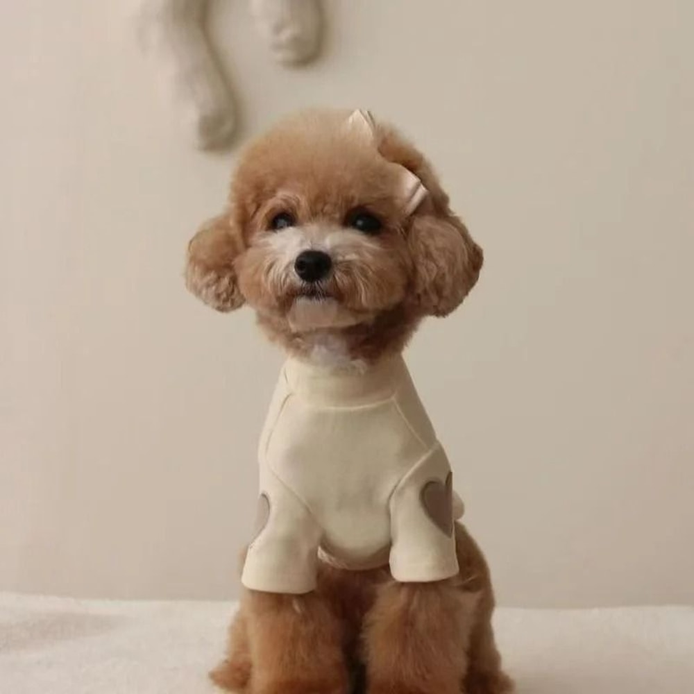 LoveBear Warm Dog Hoodie For Small Dogs And Cats 1