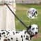 TrailGuard Reflective Tactical Dog Leash With Shock Absorbing Bungee And Car Seatbelt Clip 10