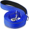 NightSafe Reflective Pet Training Leash For Dogs And Cats 1