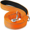 NightSafe Reflective Pet Training Leash For Dogs And Cats 2