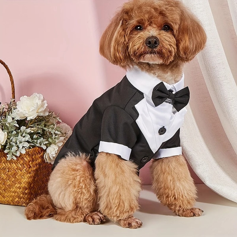Formal Dog Wedding Suit With Bow Tie For Small Dogs And Cats 0