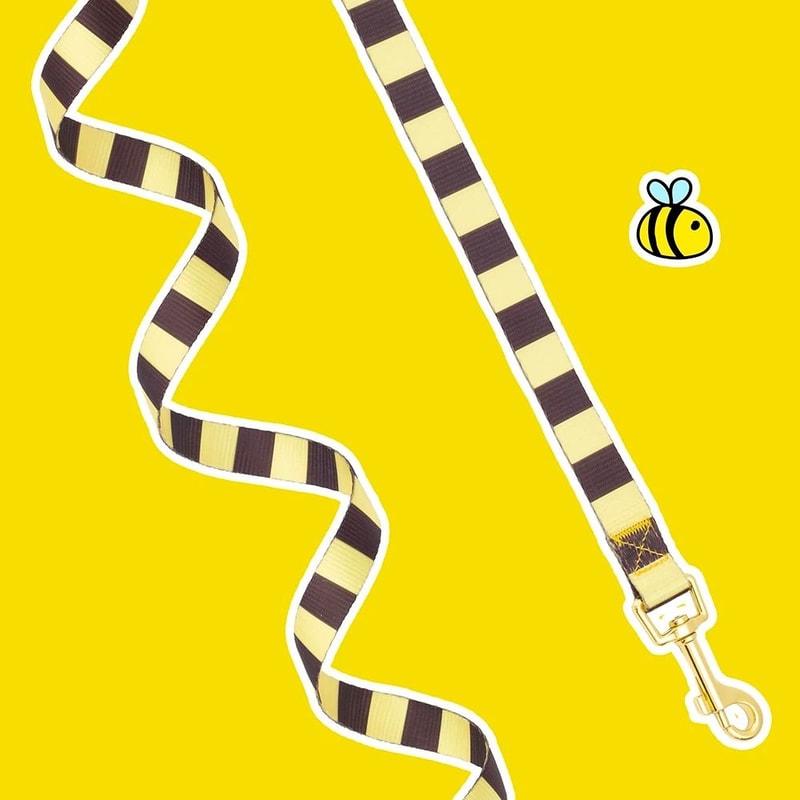 Cute Bee Dog Harness And Leash Set Soft Breathable Vest For Small Dogs And Cats 4