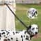 Heavy Duty Tactical Dog Leash Reflective Shock Absorbing Bungee Leash With Car Seatbelt 14