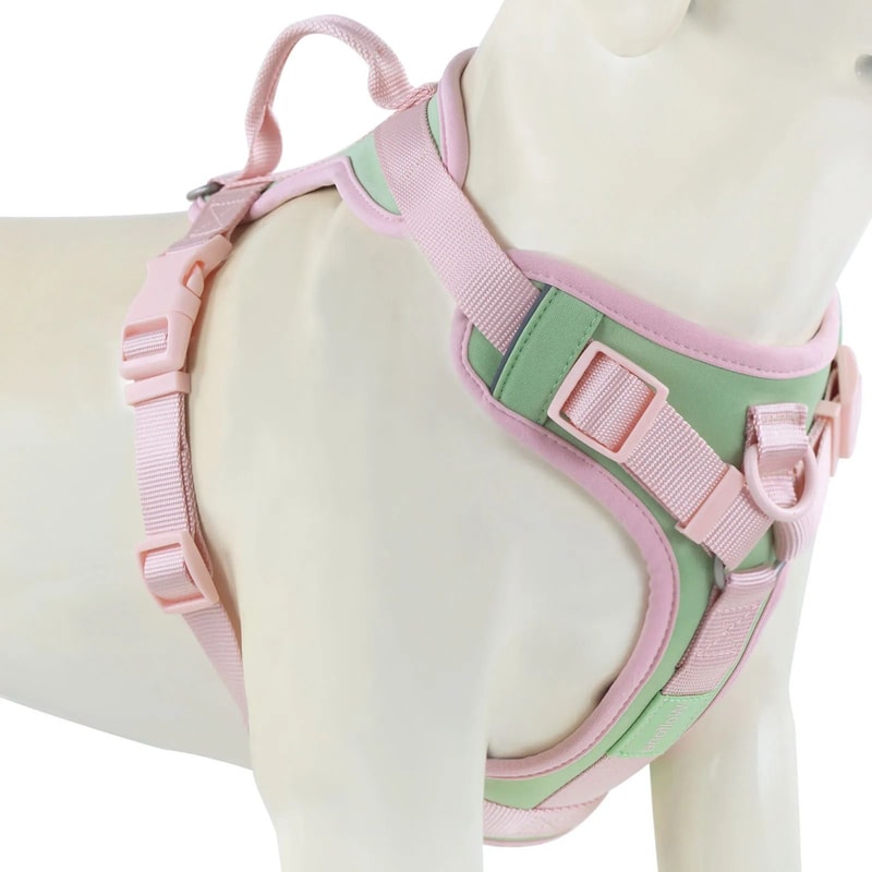 Luxury No Pull Dog Harness Adjustable Personalized Chest Strap For Small And Large Dogs 4