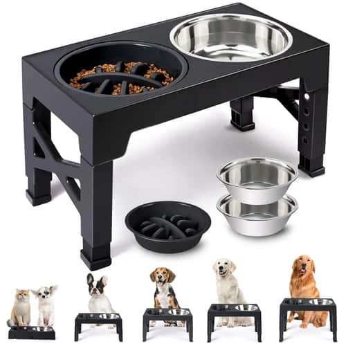 Adjustable Elevated Dog Feeder with Double Stainless Steel Food and Water Bowls