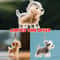 Personalized Pet Hair Keepsake Keychain Memory Pendant For Bags And Car Keys 0