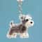 Personalized Pet Hair Keepsake Keychain Memory Pendant For Bags And Car Keys 11