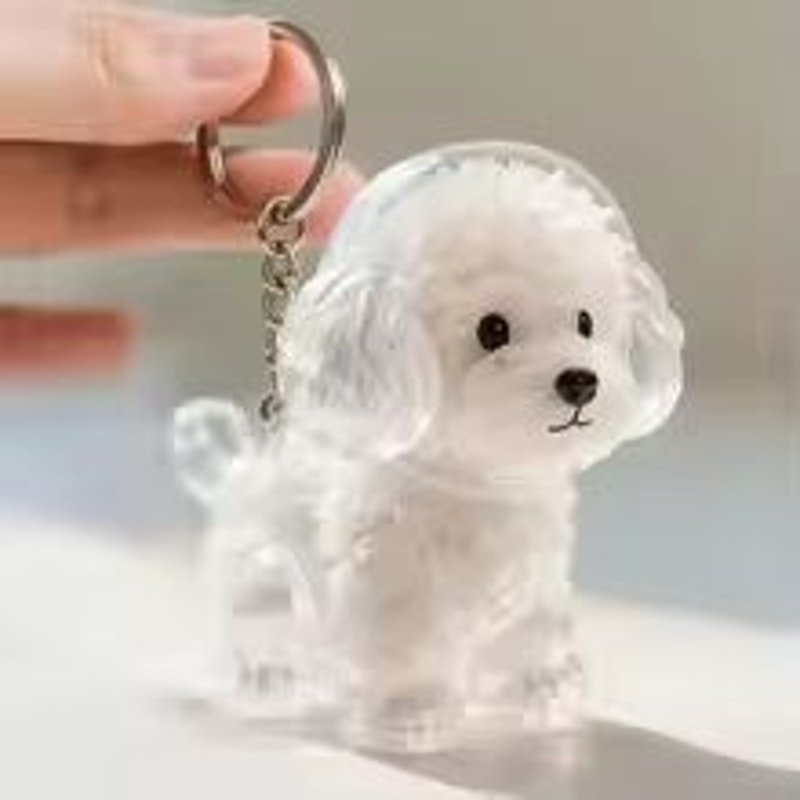 Personalized Pet Hair Keepsake Keychain Memory Pendant For Bags And Car Keys 9