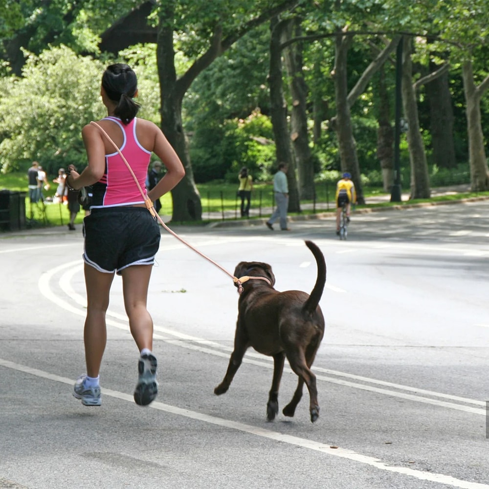 Adjustable Hands Free Dog Leash Multi Functional P Shape Running And Walking Lead 10