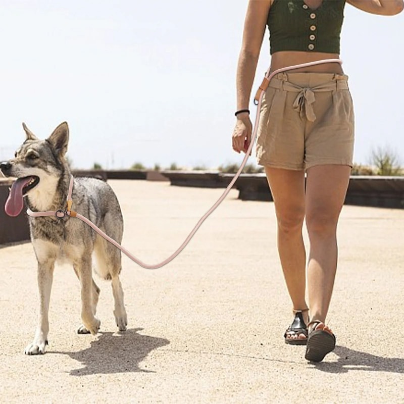Adjustable Hands Free Dog Leash Multi Functional P Shape Running And Walking Lead 14
