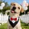 Formal Dog Bow Tie Collar Adjustable Tuxedo Bandana For Weddings And Parties 7