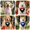 Formal Dog Bow Tie Collar Adjustable Tuxedo Bandana For Weddings And Parties 11