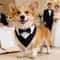 Formal Dog Bow Tie Collar Adjustable Tuxedo Bandana For Weddings And Parties 8