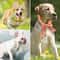 Summer Pet Cooling Scarf Breathable Ice Collar For Cats And Dogs 16