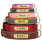 Customized Personalized Dog Collar Soft Padded PU Leather Collar With Engraved Nameplate 0