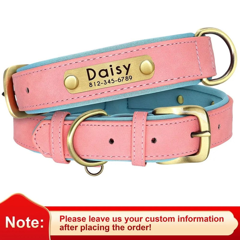 Customized Personalized Dog Collar Soft Padded PU Leather Collar With Engraved Nameplate 7