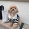 Fashion Dog Striped Shirt Breathable Cooling Pet T Shirt With Collar Style Design 8