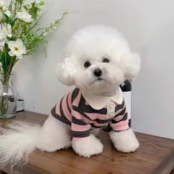 fashion dog striped shirt breathable cooling pet t shirt with collar style design