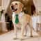 Formal Dog Wedding Collar Stylish Necktie Suit Accessory For Small Medium And Large Dogs 10