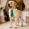 Formal Dog Wedding Collar Stylish Necktie Suit Accessory For Small Medium And Large Dogs 10