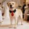 Formal Dog Wedding Collar Stylish Necktie Suit Accessory For Small Medium And Large Dogs 11