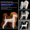 Professional Pet Grooming Practice Dog Model Full Body Poodle Training Mannequin 10