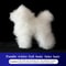 Professional Pet Grooming Practice Dog Model Full Body Poodle Training Mannequin 2