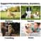 Pet Teeth Cleaning Finger Wipes Disposable Dental Cleaning Pads For Dogs And Cats 2