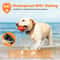 Waterproof Remote Dog Training Collar With Vibration And Adjustable Training Modes 10