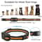 Waterproof Remote Dog Training Collar With Vibration And Adjustable Training Modes 12