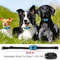 USB Rechargeable Anti Bark Dog Training Collar With Ultrasonic And Vibration Modes 12