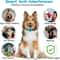 USB Rechargeable Anti Bark Dog Training Collar With Ultrasonic And Vibration Modes 13