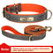 Personalized PU Leather Dog Collar With Custom Engraved Nameplate For Small Medium And Large Dogs 19