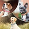 Personalized PU Leather Dog Collar With Custom Engraved Nameplate For Small Medium And Large Dogs 27