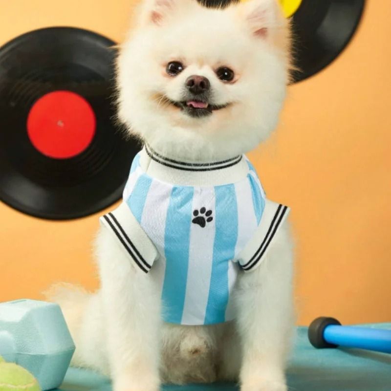Breathable Mesh Dog Jersey Summer Pet Shirt For Small And Large Dogs 3