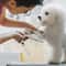 4PCS Pet Grooming Scissors Set Safe Round Tip Dog Grooming Shears For Precision Trimming 6