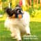 Natural Rubber Squeaky Dog Ball Toy Durable Chew And Fetch Toy For Puppies And Dogs 3
