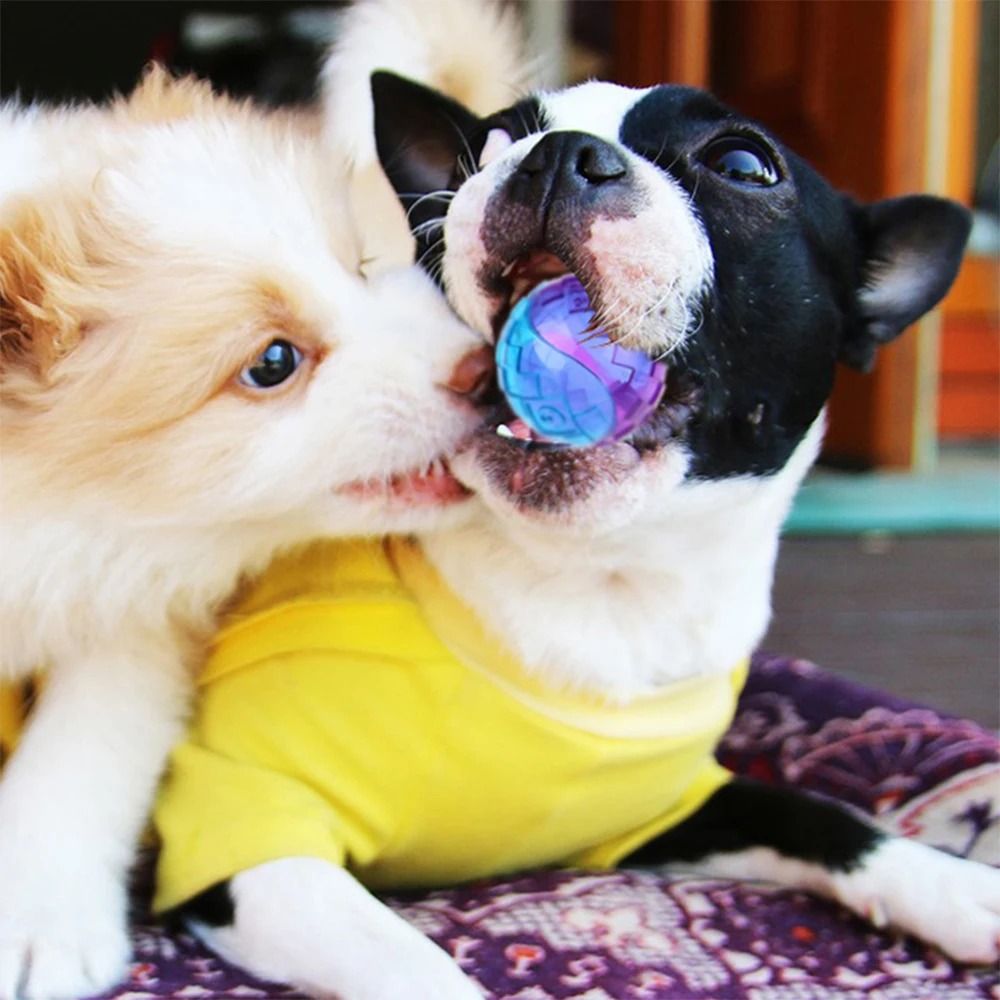 Natural Rubber Squeaky Dog Ball Toy Durable Chew And Fetch Toy For Puppies And Dogs 6