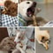 Natural Coffee Wood Dog Chew Stick Durable Dental Toy For Small And Large Dogs 8