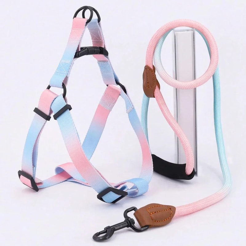 Adjustable Dog Harness And Leash Set For Small Dogs Breathable Puppy Chest Collar Vest 2