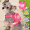 Adjustable Reflective Dog Harness And Leash Set With Backpack For Small Pets 14