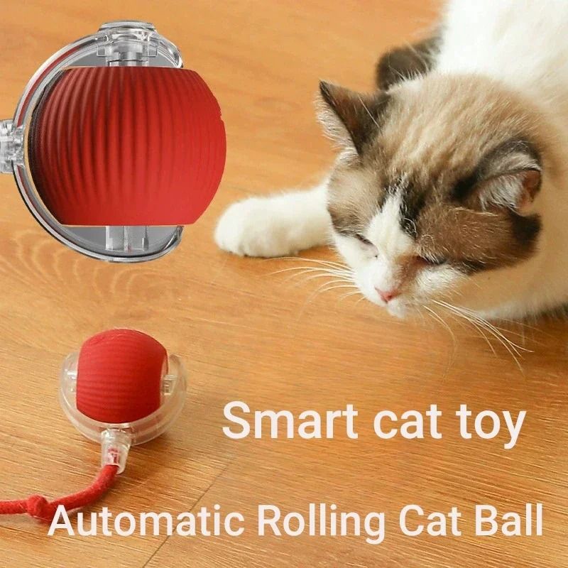 Smart Interactive Rolling Ball Rechargeable Toy For Cats And Small Dogs 13