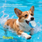 HOOPET Glow Dog Fetch Ball Durable Rubber Interactive Toy For Active Dogs 15