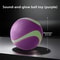 HOOPET Glow Dog Fetch Ball Durable Rubber Interactive Toy For Active Dogs 7