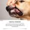 Yegbong Dog Teeth Cleaning Powder Gentle Pet Dental Care For Cleaner Teeth And Fresh Breath 6